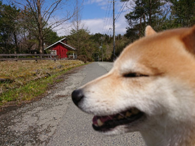 f:id:roukenhome-ann:20190415183931j:plain