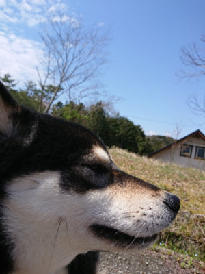 f:id:roukenhome-ann:20190415183938j:plain