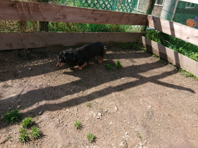 f:id:roukenhome-ann:20190415185140j:plain