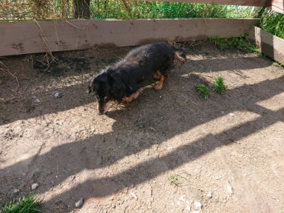 f:id:roukenhome-ann:20190415185229j:plain