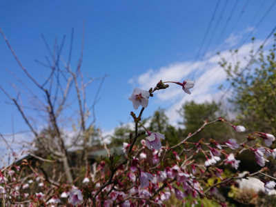 f:id:roukenhome-ann:20190415185235j:plain