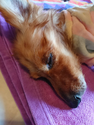 f:id:roukenhome-ann:20190415185711j:plain