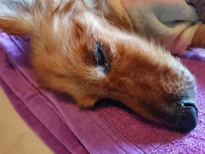f:id:roukenhome-ann:20190415185723j:plain