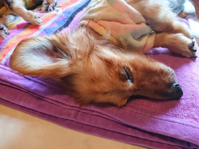 f:id:roukenhome-ann:20190415185736j:plain