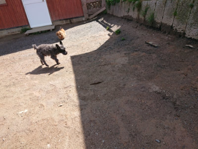 f:id:roukenhome-ann:20190415190038j:plain