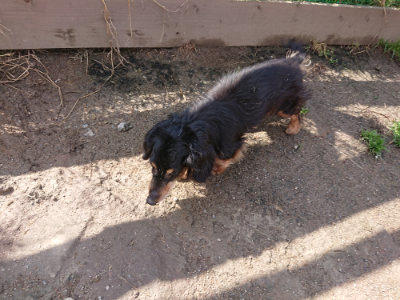 f:id:roukenhome-ann:20190415190239j:plain