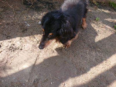 f:id:roukenhome-ann:20190415190247j:plain