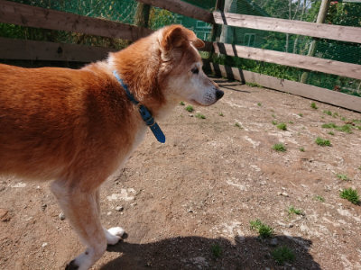 f:id:roukenhome-ann:20190415190255j:plain