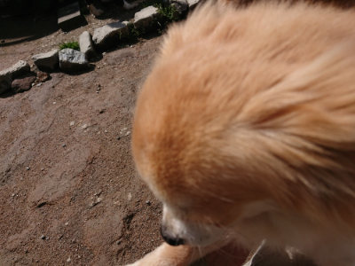 f:id:roukenhome-ann:20190415190303j:plain
