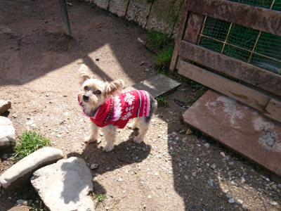 f:id:roukenhome-ann:20190415190354j:plain