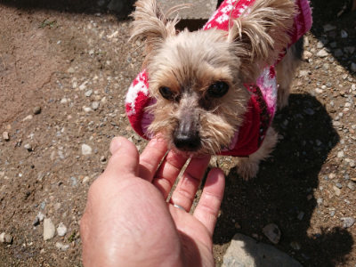 f:id:roukenhome-ann:20190415190401j:plain