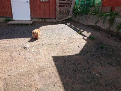 f:id:roukenhome-ann:20190415201138j:plain