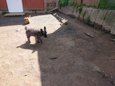 f:id:roukenhome-ann:20190415201200j:plain