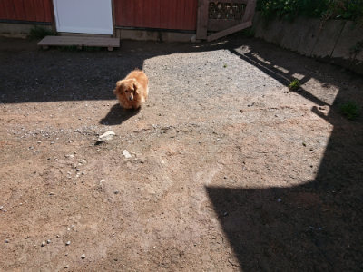 f:id:roukenhome-ann:20190415201205j:plain