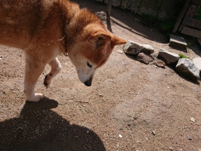 f:id:roukenhome-ann:20190415201215j:plain