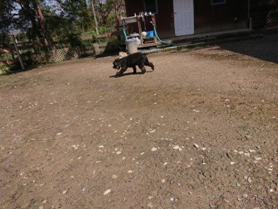 f:id:roukenhome-ann:20190415201330j:plain