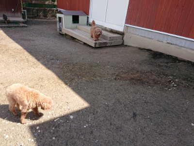 f:id:roukenhome-ann:20190415201342j:plain