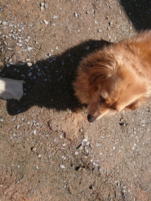 f:id:roukenhome-ann:20190415201404j:plain