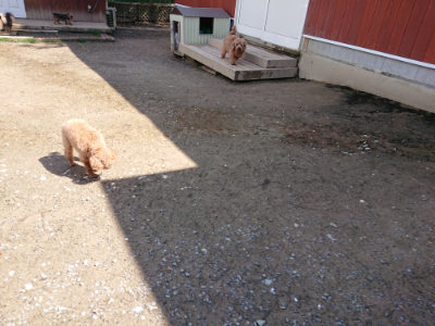 f:id:roukenhome-ann:20190415201432j:plain