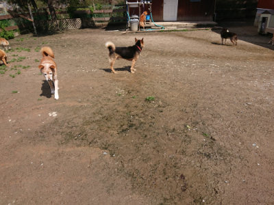 f:id:roukenhome-ann:20190415201454j:plain