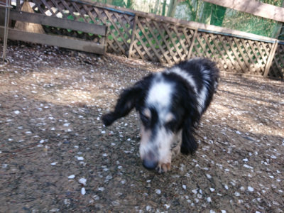 f:id:roukenhome-ann:20190415201507j:plain