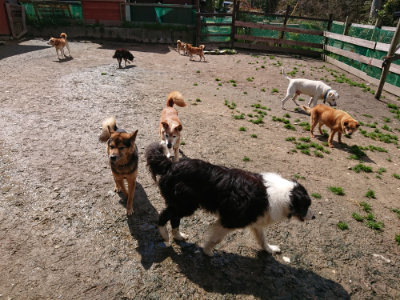 f:id:roukenhome-ann:20190415201652j:plain