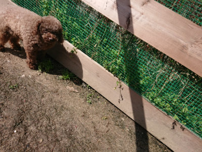 f:id:roukenhome-ann:20190415202449j:plain