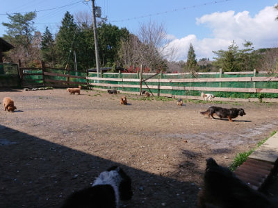 f:id:roukenhome-ann:20190415202524j:plain