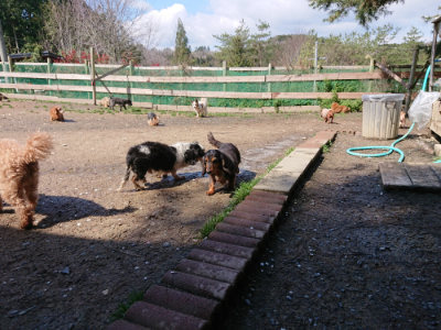 f:id:roukenhome-ann:20190415202550j:plain