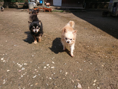 f:id:roukenhome-ann:20190415202604j:plain