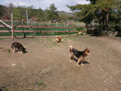 f:id:roukenhome-ann:20190415202637j:plain