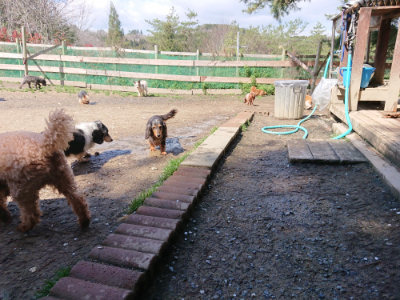 f:id:roukenhome-ann:20190415202645j:plain