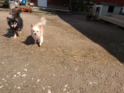 f:id:roukenhome-ann:20190415202654j:plain