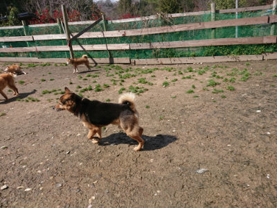 f:id:roukenhome-ann:20190415202700j:plain