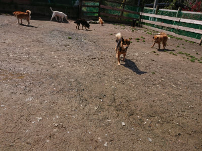 f:id:roukenhome-ann:20190415202745j:plain