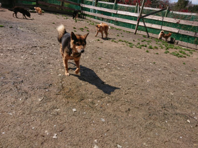f:id:roukenhome-ann:20190415202753j:plain