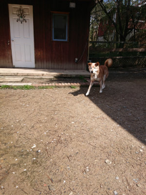 f:id:roukenhome-ann:20190415202818j:plain