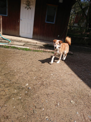 f:id:roukenhome-ann:20190415202825j:plain