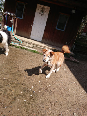 f:id:roukenhome-ann:20190415202831j:plain