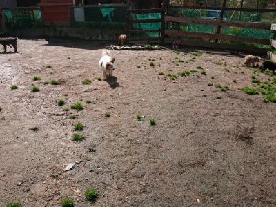 f:id:roukenhome-ann:20190415202937j:plain
