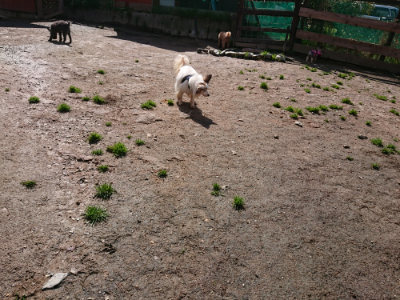 f:id:roukenhome-ann:20190415202944j:plain
