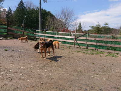 f:id:roukenhome-ann:20190415202953j:plain