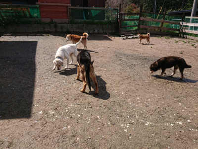 f:id:roukenhome-ann:20190415202959j:plain