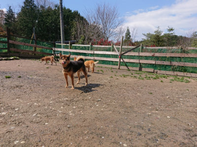f:id:roukenhome-ann:20190415203016j:plain