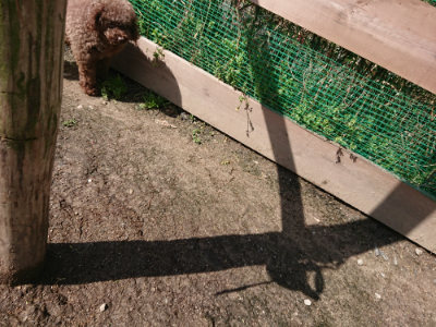 f:id:roukenhome-ann:20190415203043j:plain