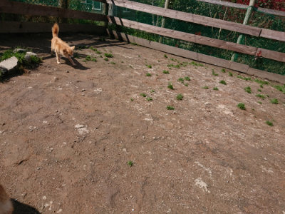 f:id:roukenhome-ann:20190415203450j:plain