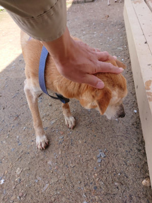 f:id:roukenhome-ann:20190415203458j:plain