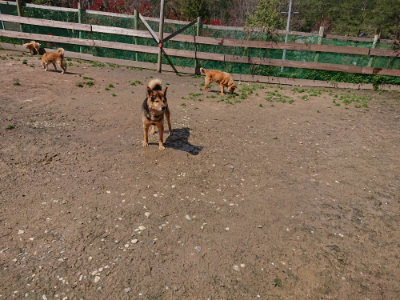 f:id:roukenhome-ann:20190415203504j:plain