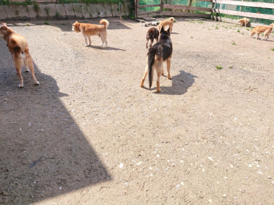 f:id:roukenhome-ann:20190415203527j:plain