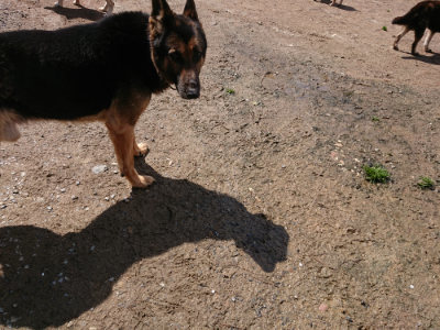 f:id:roukenhome-ann:20190415203534j:plain